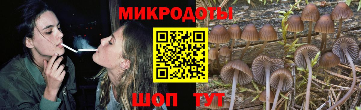 Галлюциногенные грибы Magic Shrooms Александров