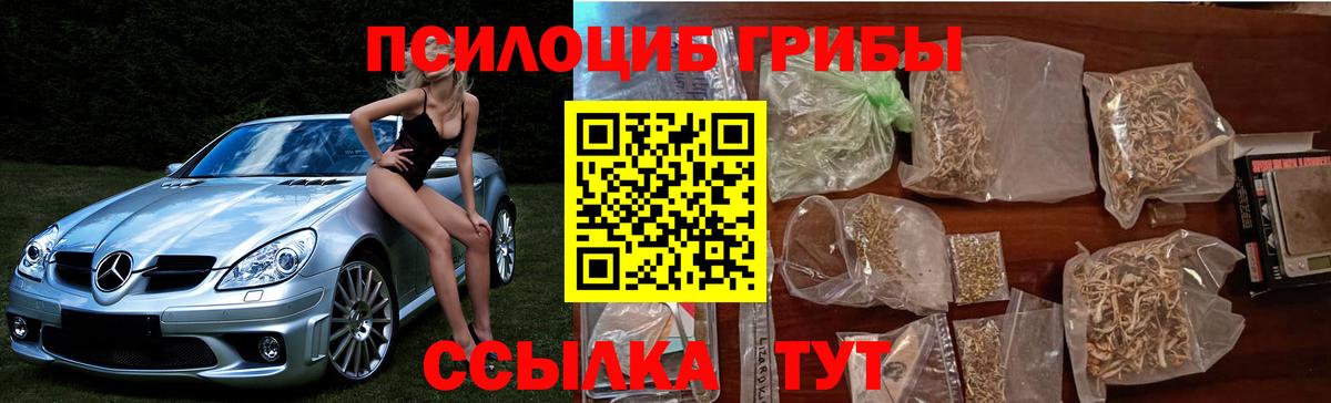 Александров  Галлюциногенные грибы MAGIC MUSHROOMS  Вход с VPN 